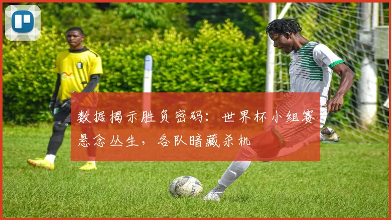 数据揭示胜负密码：世界杯小组赛悬念丛生，各队暗藏杀机